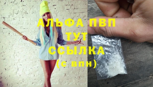 мяу мяу мука Баксан