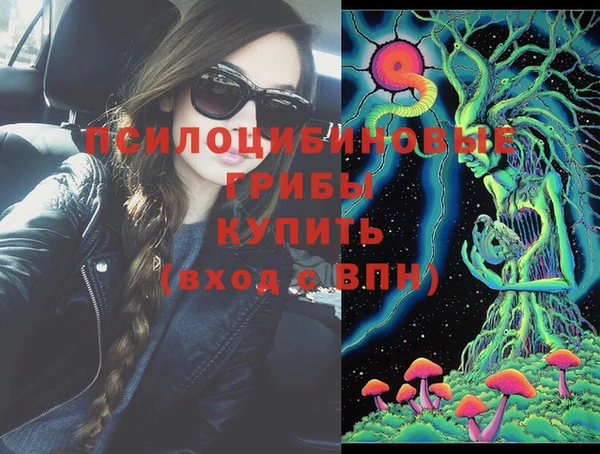 мяу мяу мука Баксан