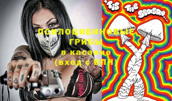 мяу мяу мука Баксан
