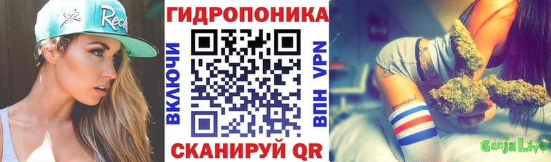 Бошки Шишки сатива  Билибино 