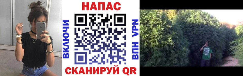 Конопля THC 21% Билибино